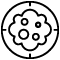 Cáncer colorrectal